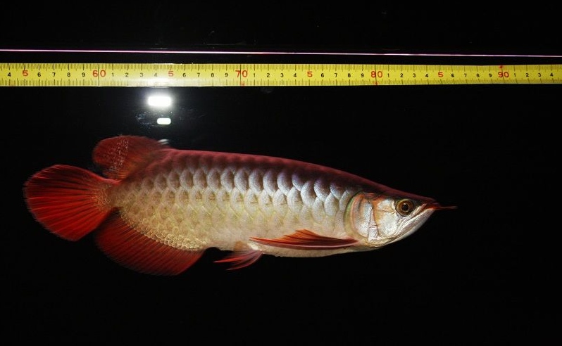 2012040100374956.jpg